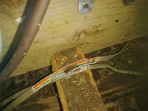 Rodent Cable Damage